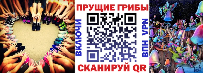 Псилоцибиновые грибы MAGIC MUSHROOMS  как найти   Свободный 